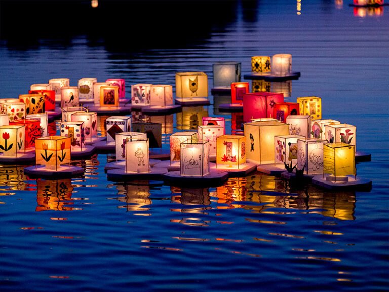 Tooro Nagashi Akimatsuri Mogi das Cruzes