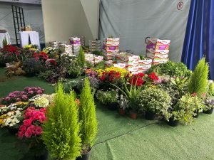 Frutas, verduras, legumes e plantas foram destinados a instituições sociais