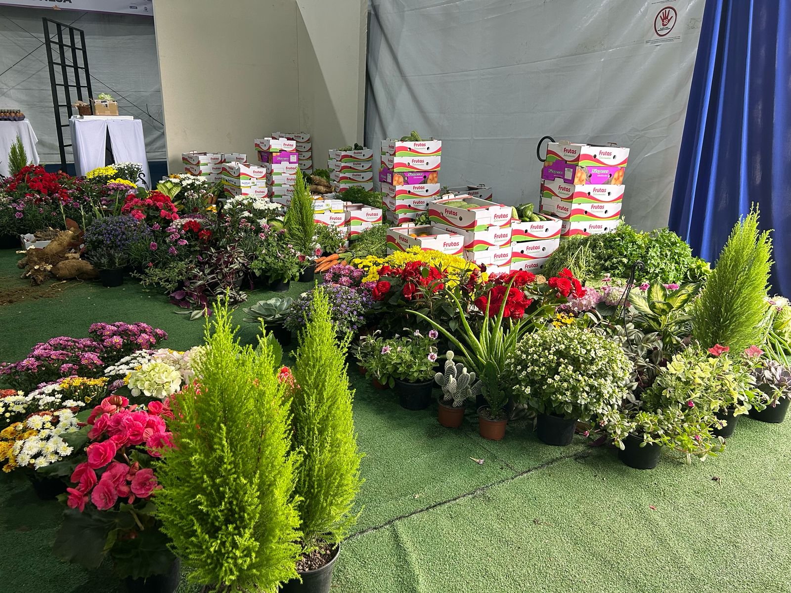 Frutas, verduras, legumes e plantas foram destinados a instituições sociais