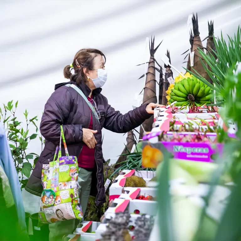Pavilhão Agrícola Akimatsuri Mogi das Cruzes