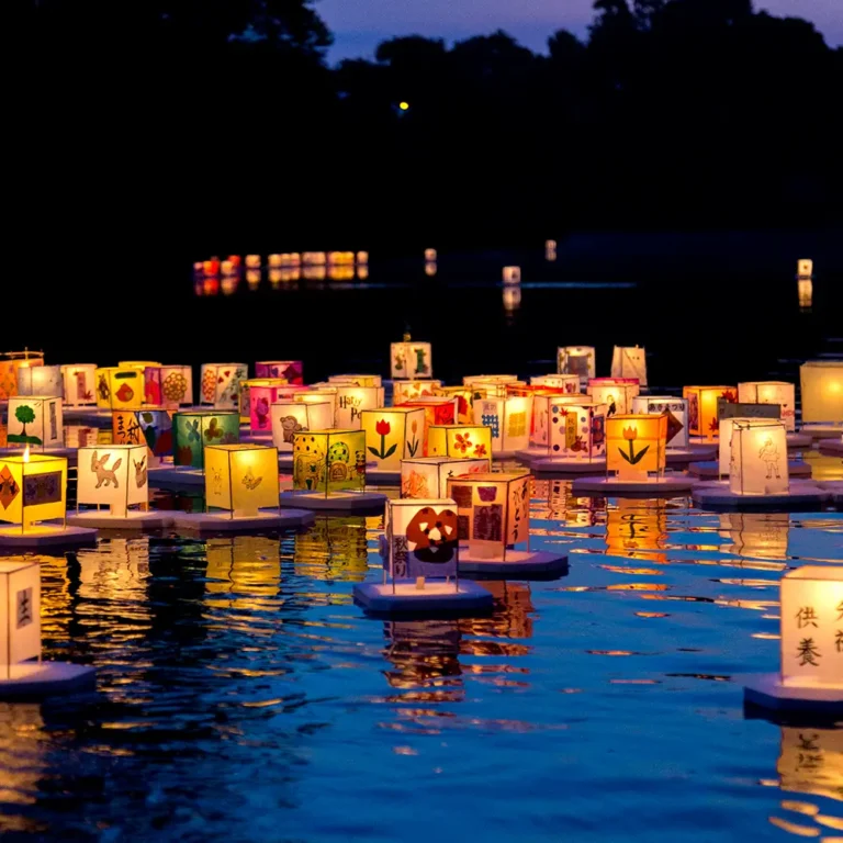 Tooro Nagashi Akimatsuri Mogi das Cruzes